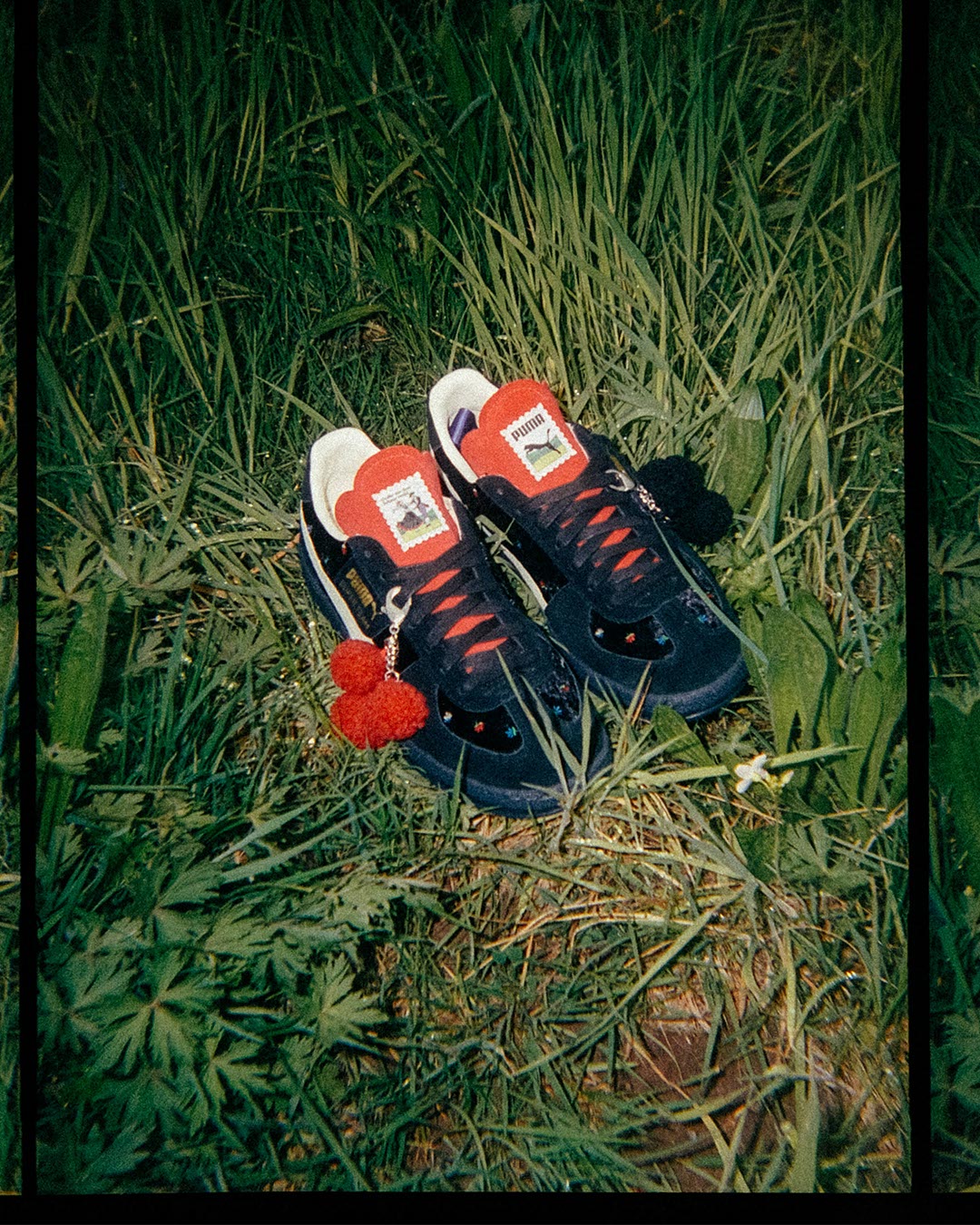 Ein Paar schwarze Turnschuhe mit roten Schnürsenkeln und flauschigen roten und schwarzen Bommeln, die auf grünem Gras stehen und von Blattpflanzen umgeben sind.